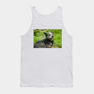 eli dignity Tank Top